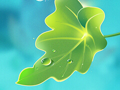 李强主持召开国务院常务会议