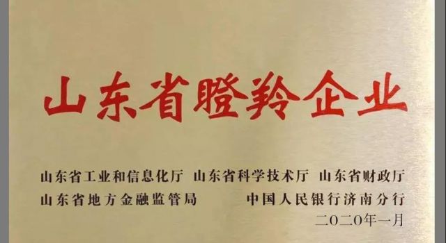 蓝想环境被认定为山东省第三批瞪羚企业