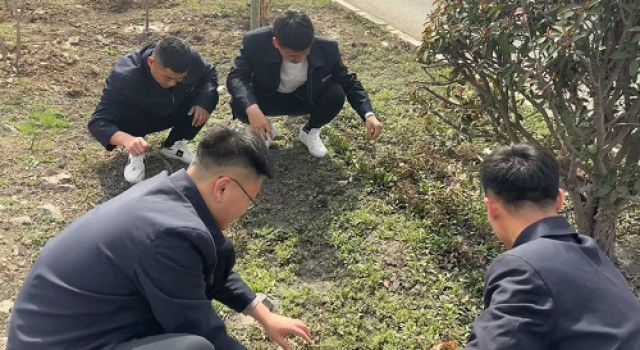 沂南县交通工程总监处开展“弘扬雷锋精神、提升服务品质” 志愿服务活动